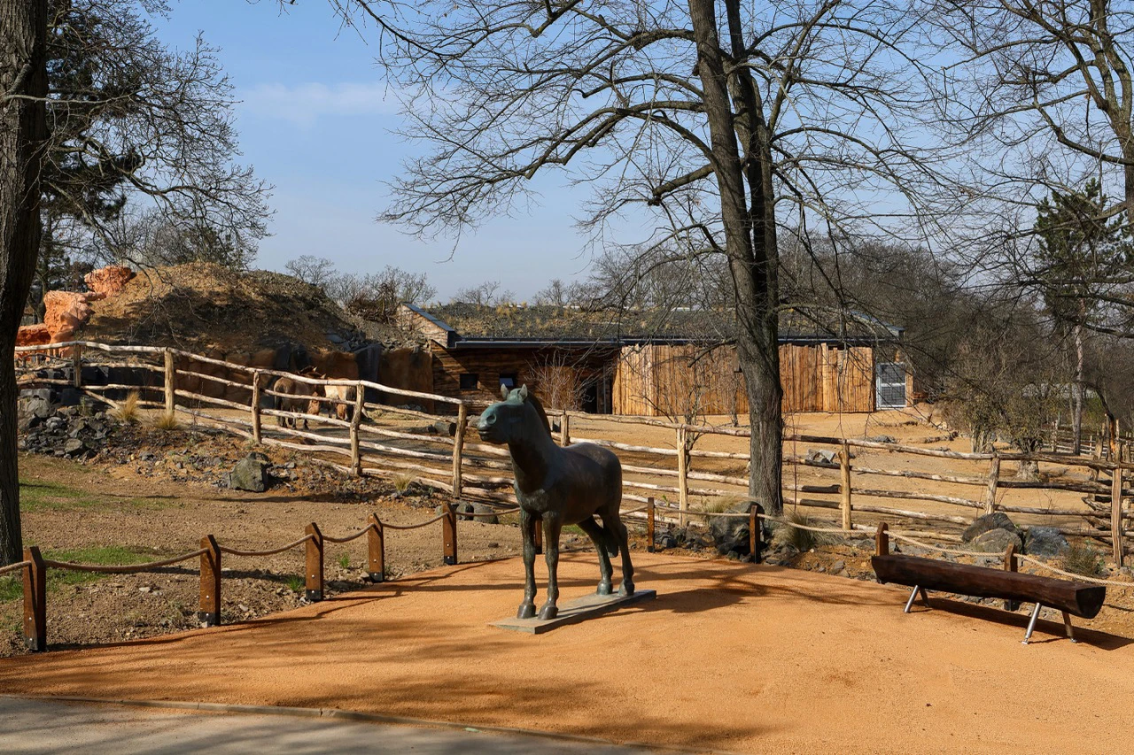 Foto Zoo 09 Výběhy