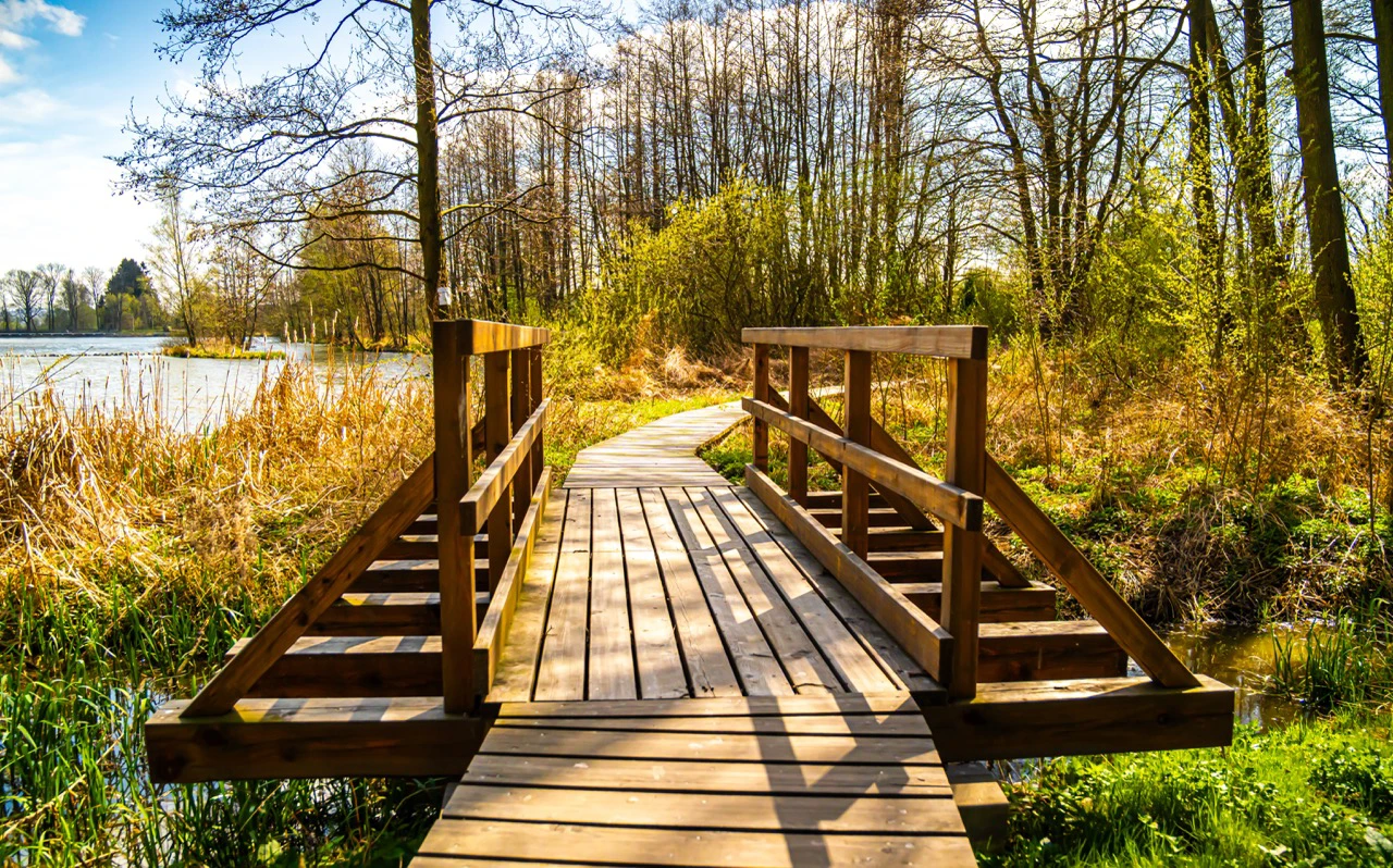 2023 Rybnik Straz 05