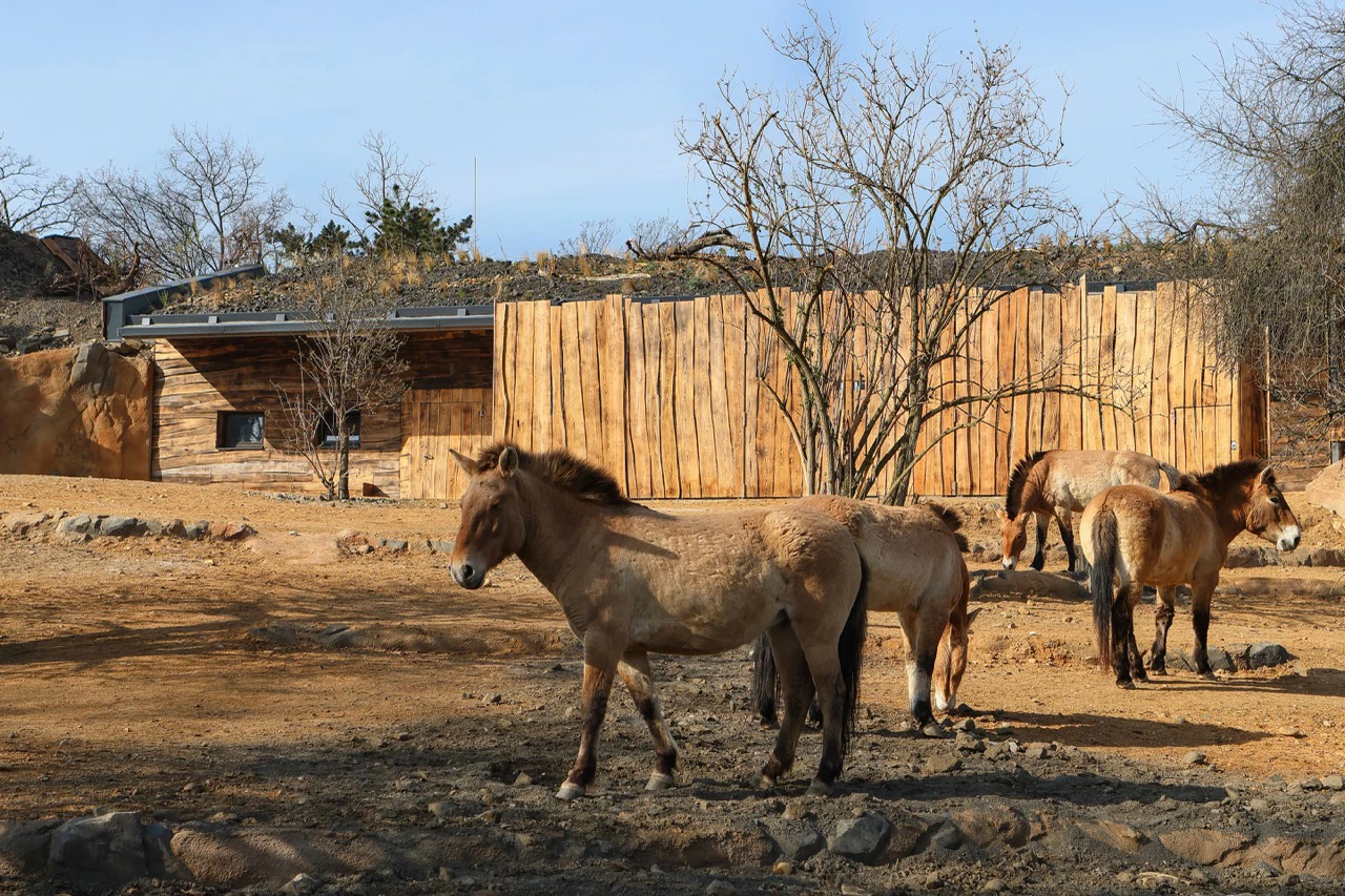 Foto Zoo 06 Výběhy