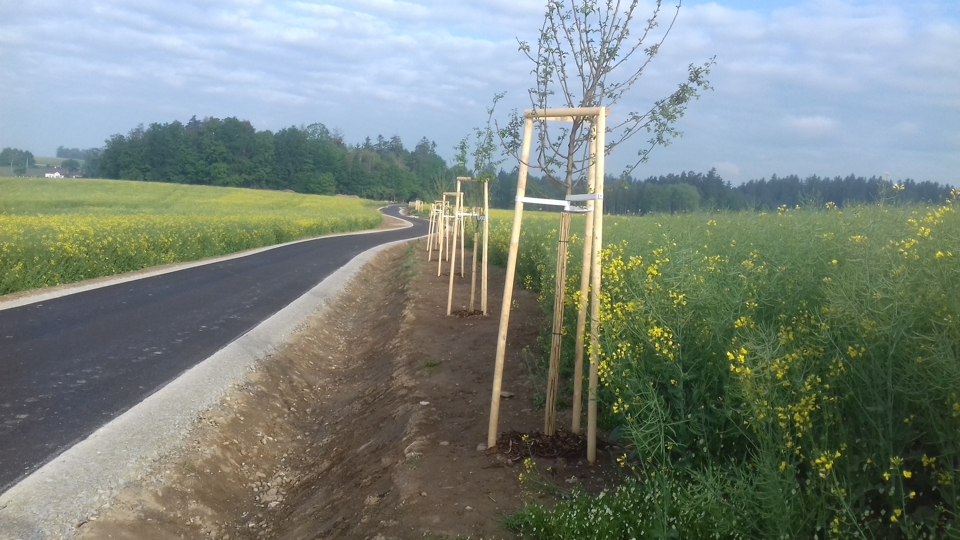 Cyklostezka – propojení katastrálních území Matná–Buk         - Stavby silnic a mostů