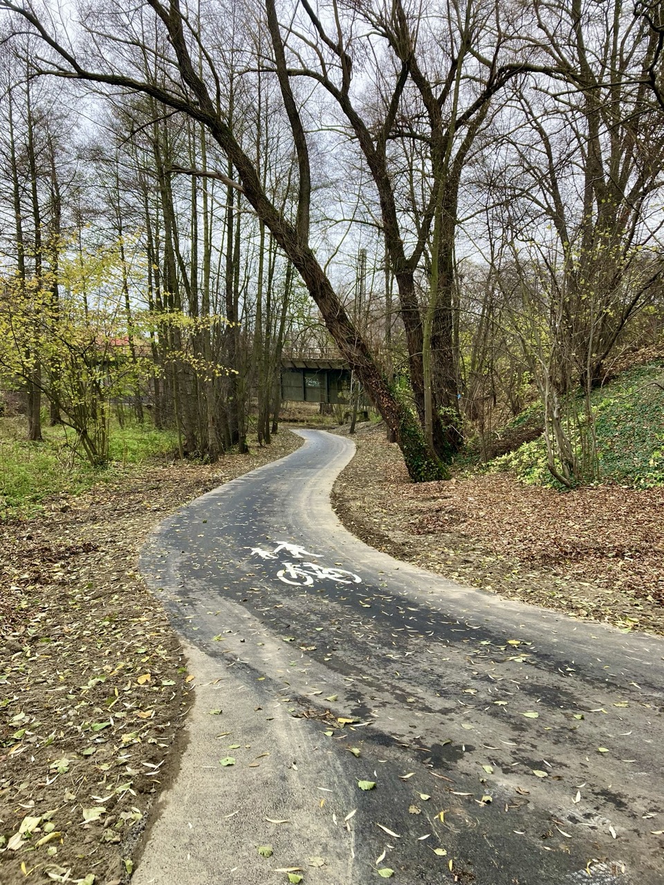 Dolni Skrychov 01