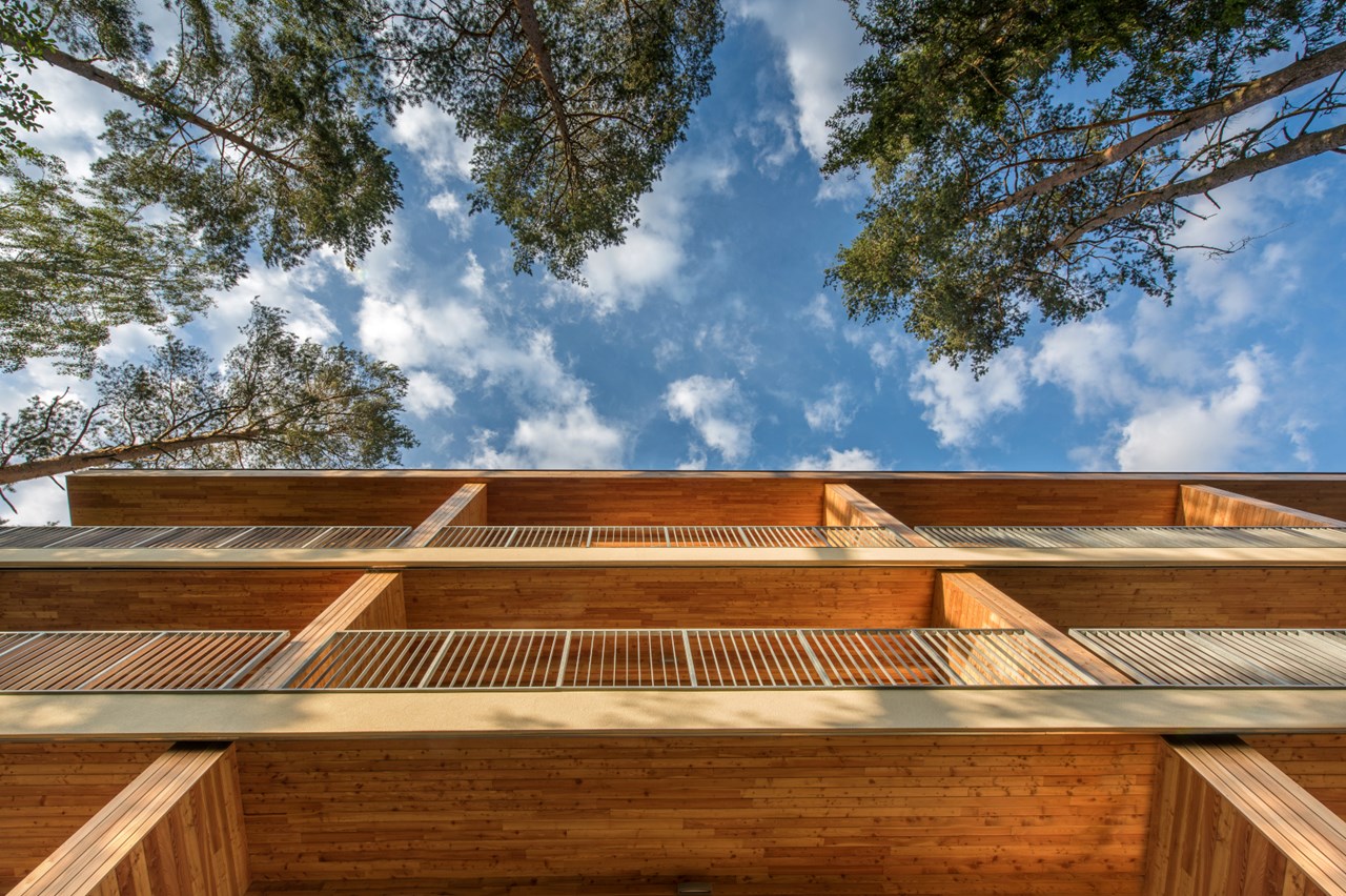 DSC 9225A (2) DSC 9225A (2)